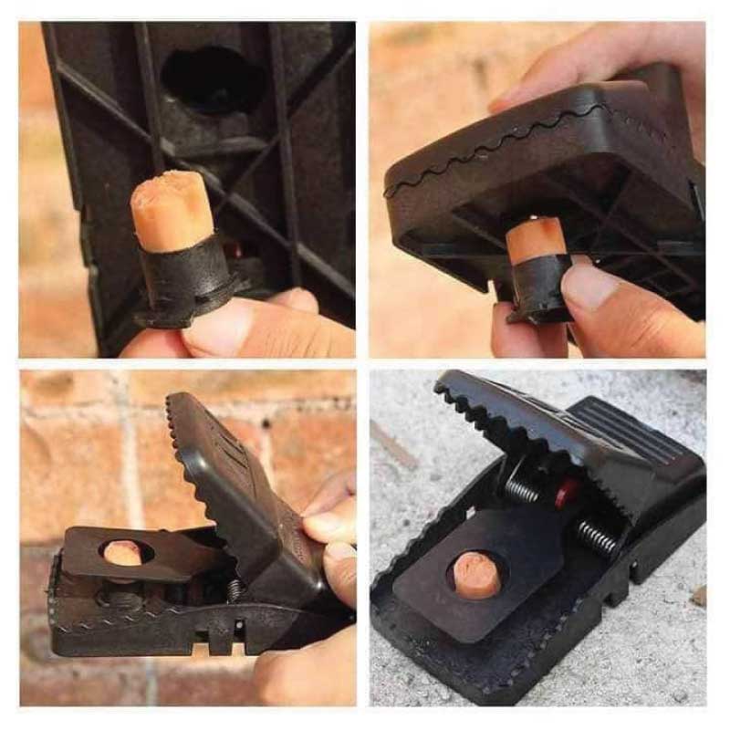 Mouse Trap Clip