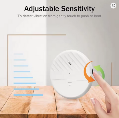 Vibration Sensor Alarm