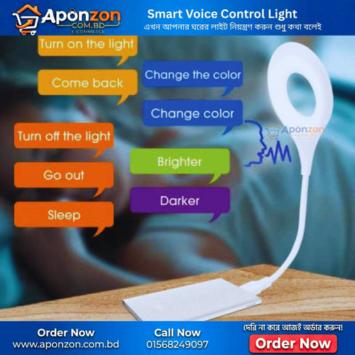 Smart Voice Control Ligh
