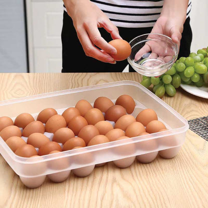34 Grid Egg Storage Box