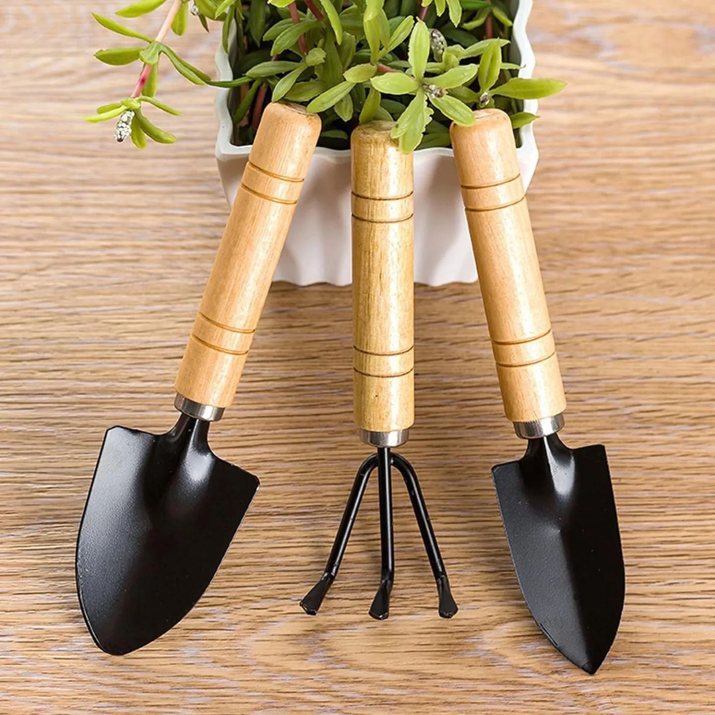 3PCS/Set Gardening Mini Garden Tools