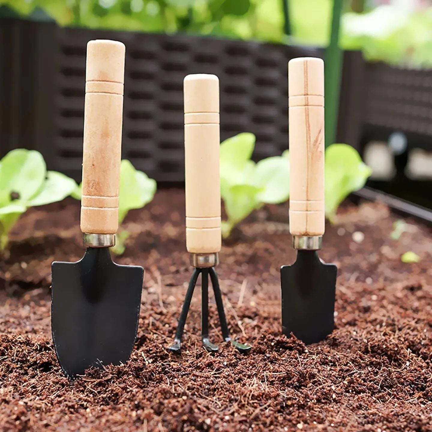 3PCS/Set Gardening Mini Garden Tools