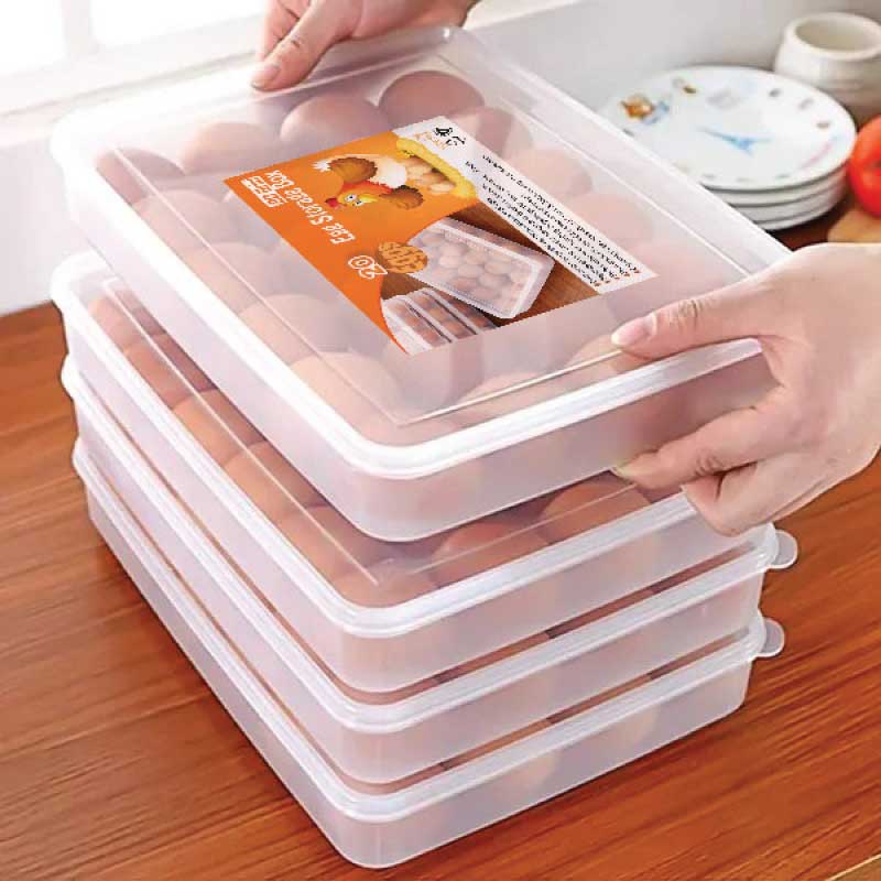 20 Grid Egg Storage Box