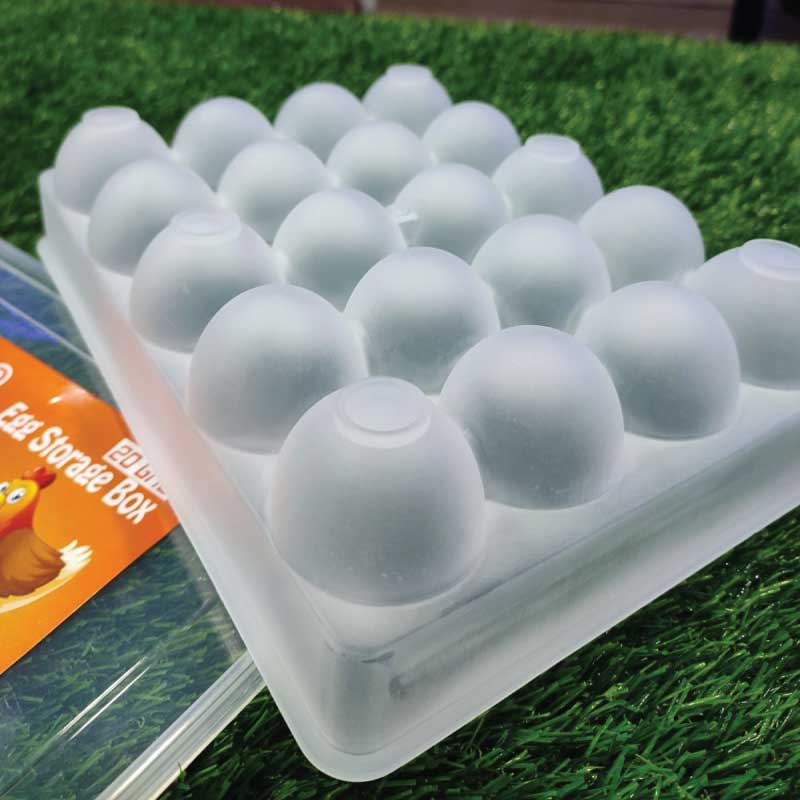 20 Grid Egg Storage Box