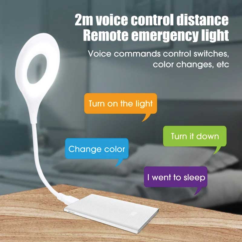 Smart Voice Control Ligh